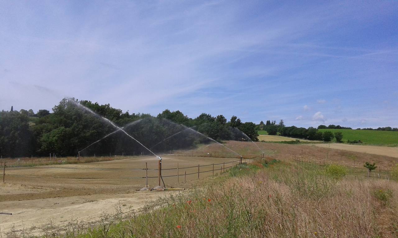 A LOUER STRUCTURE EQUESTRE 1.5 HECTARE 