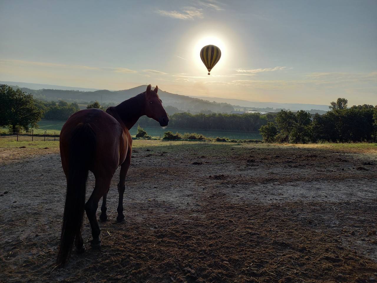 A LOUER STRUCTURE EQUESTRE 1.5 HECTARE 