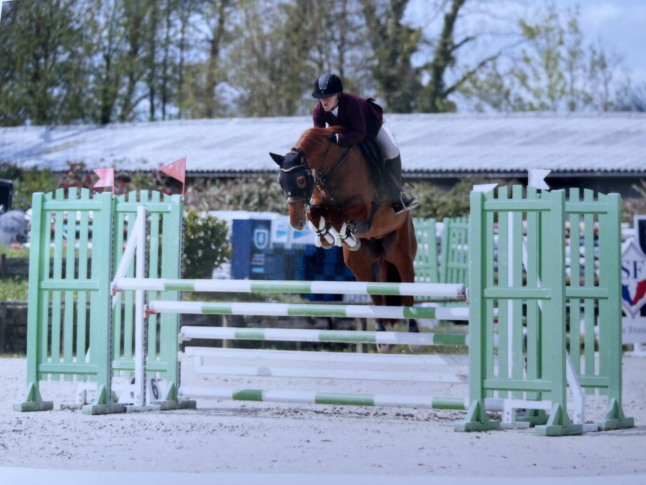 Poney gros potentiel