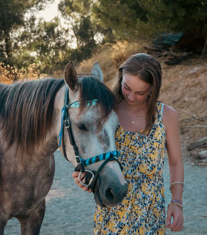 Photographe équestre à Marseille