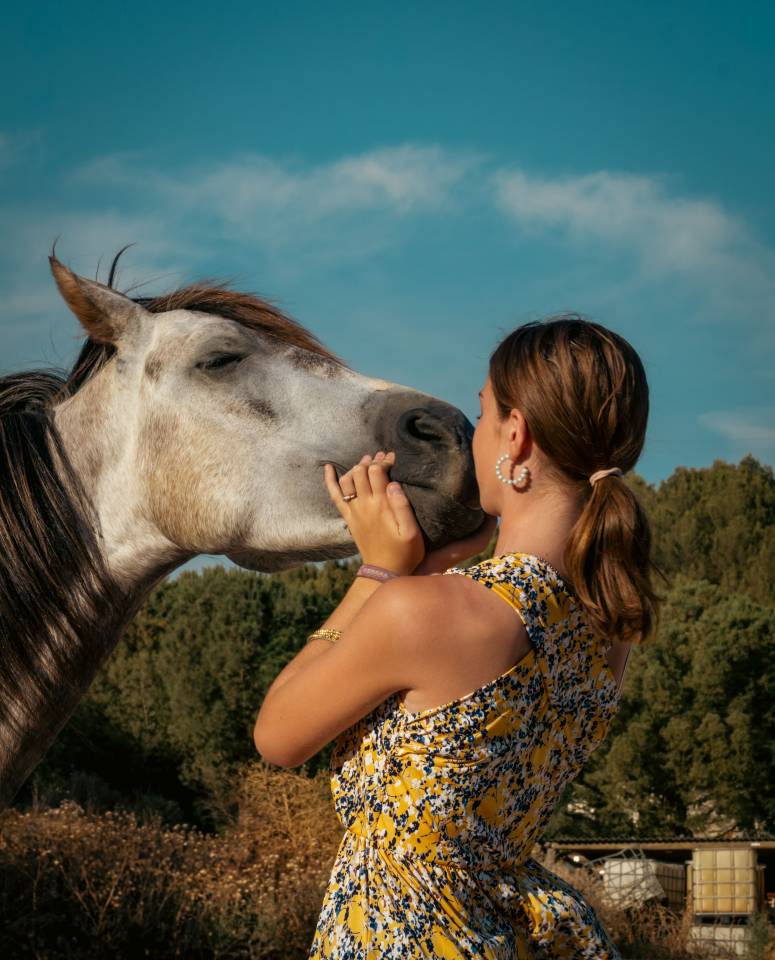 Photographe équestre à Marseille