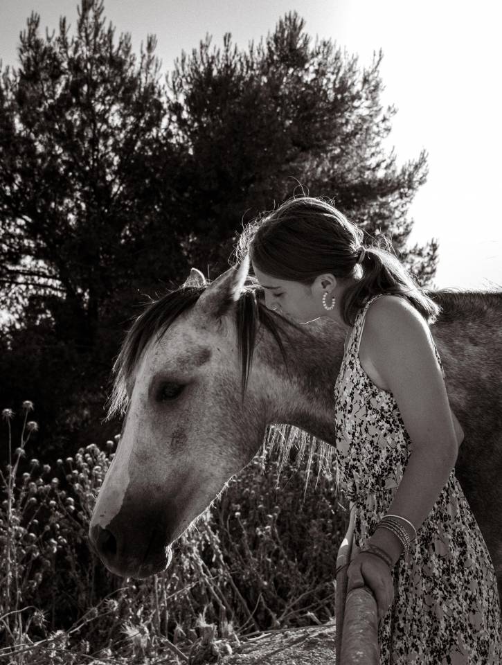 Photographe équestre à Marseille