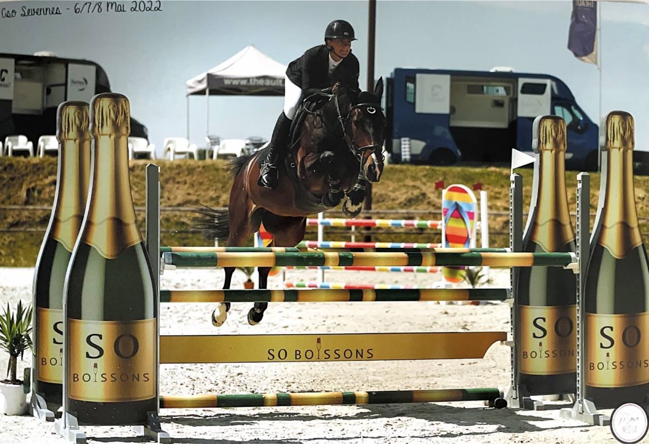 Location cheval CSO