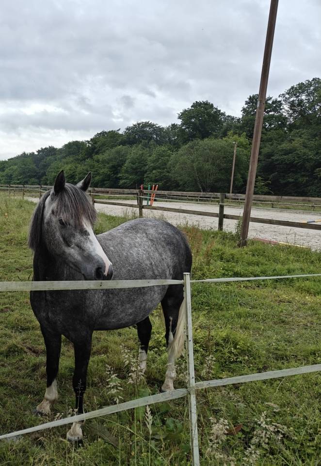 Mam’zelle osnard ponette 3 ans 