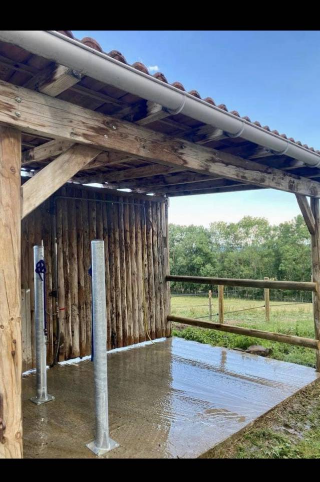 Pension chevaux et poneys 