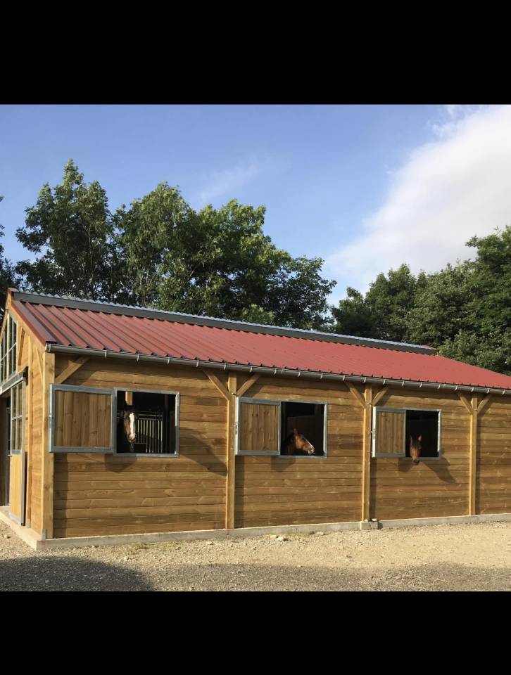 Pension chevaux et poneys 