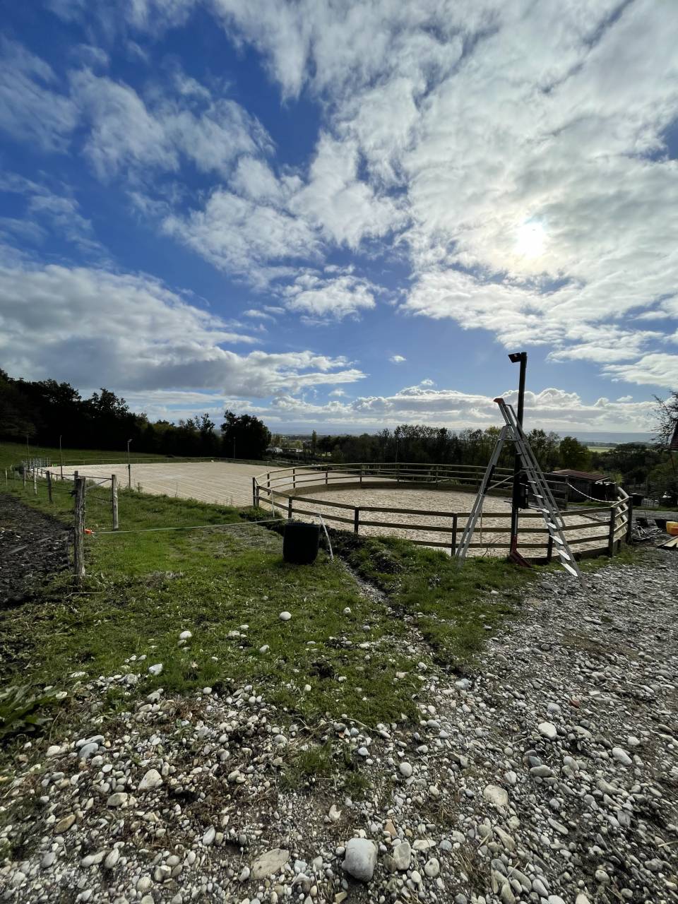 Pension chevaux et poneys 
