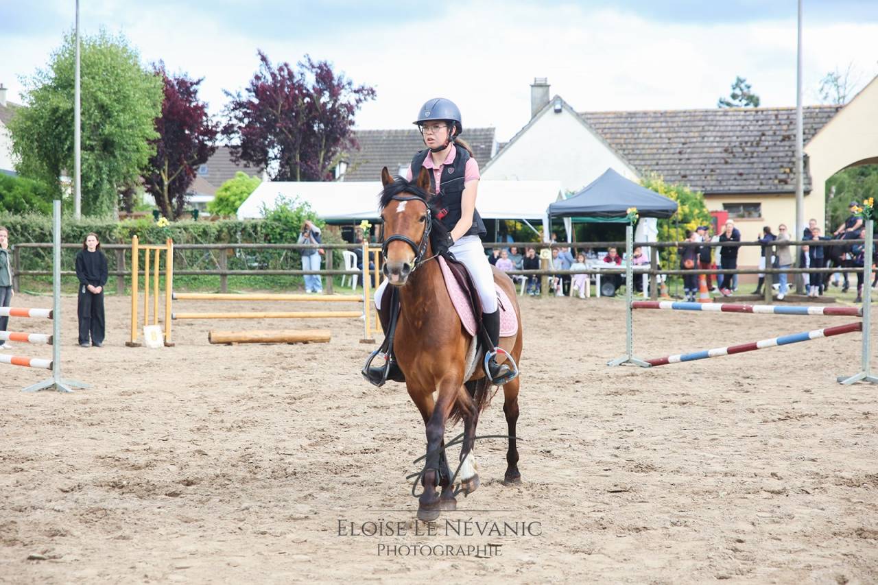 New Forrest - Jument, 5 ans