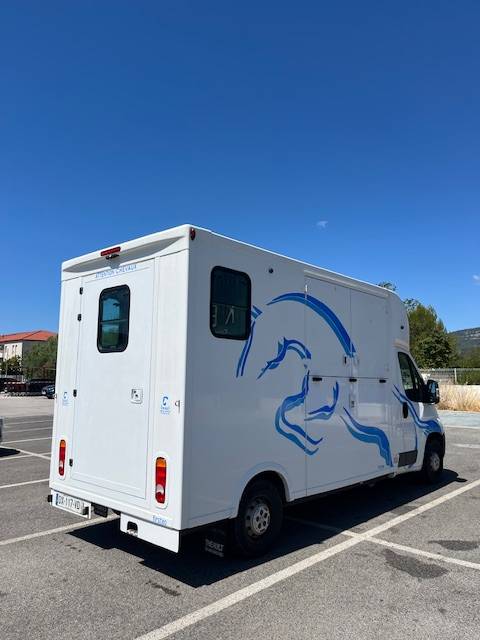 Camion VL pour chevaux Theault Firsteo 30 000km