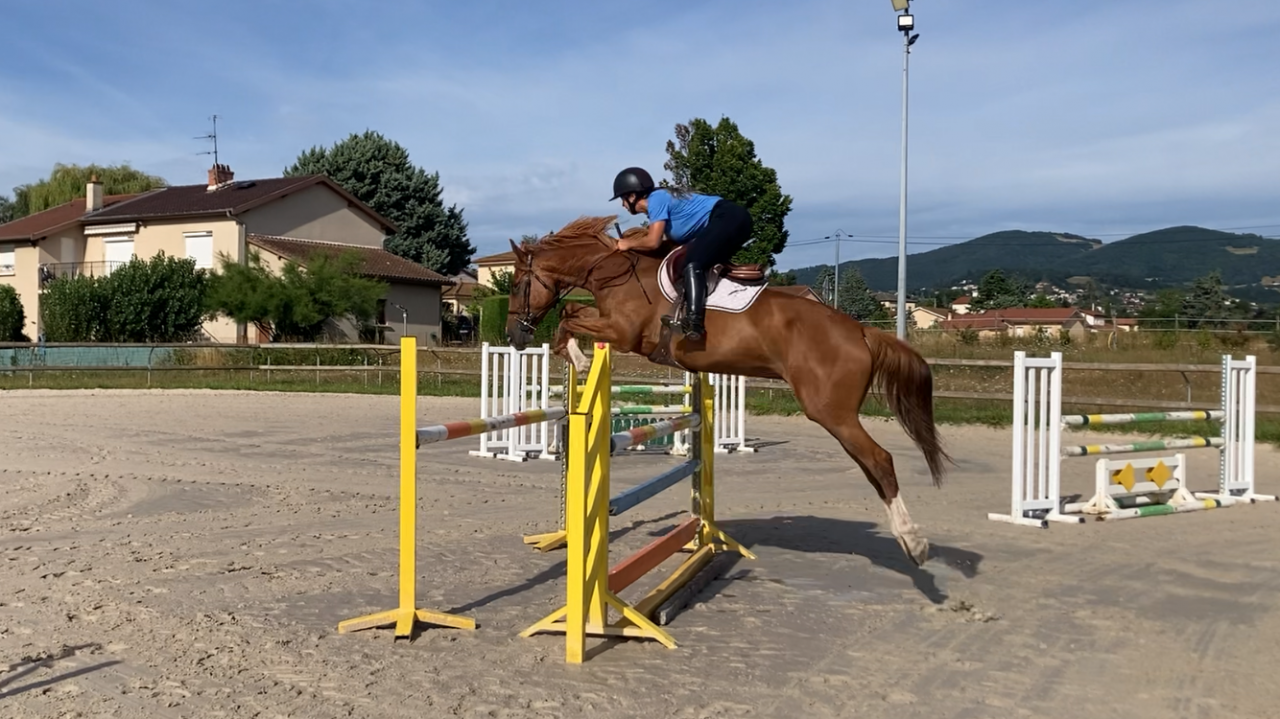 Jument 7 ans classé 115