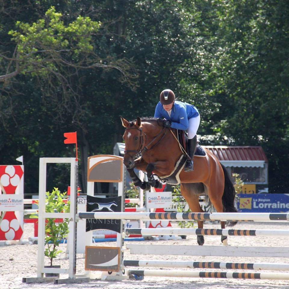 Pension et demi pension chevaux, poneys proche Nancy