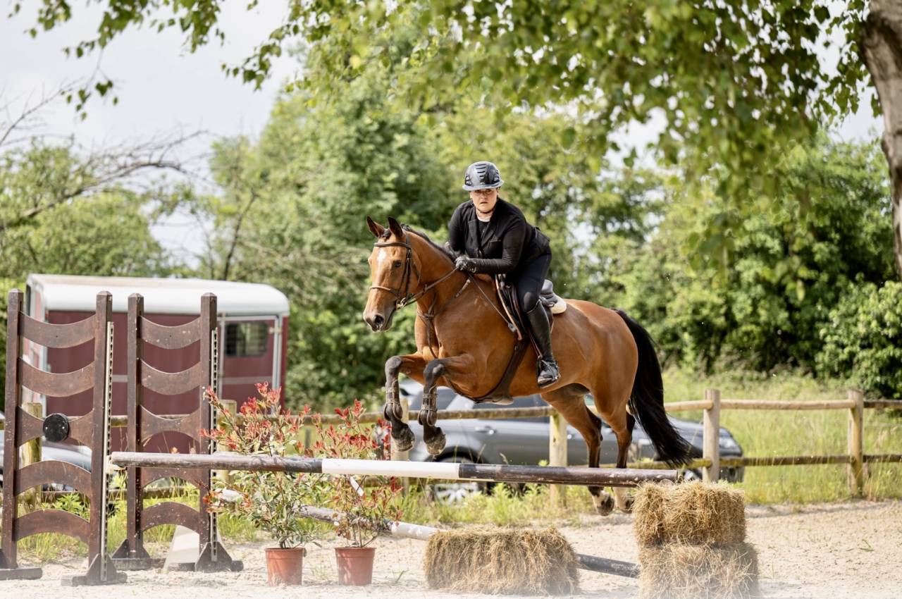 Pension et demi pension chevaux, poneys proche Nancy