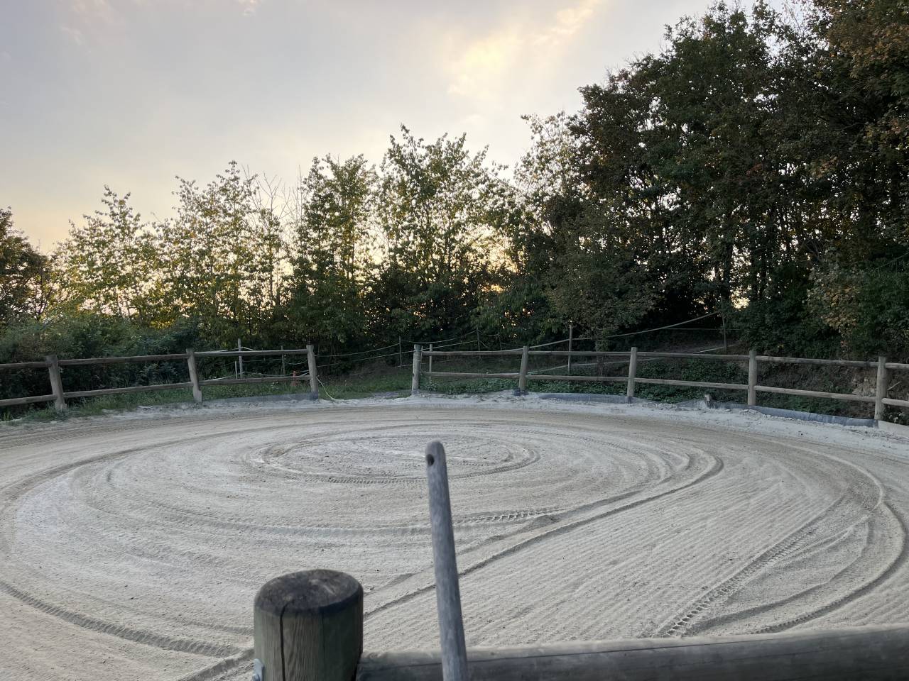 Pension et demi pension chevaux, poneys proche Nancy