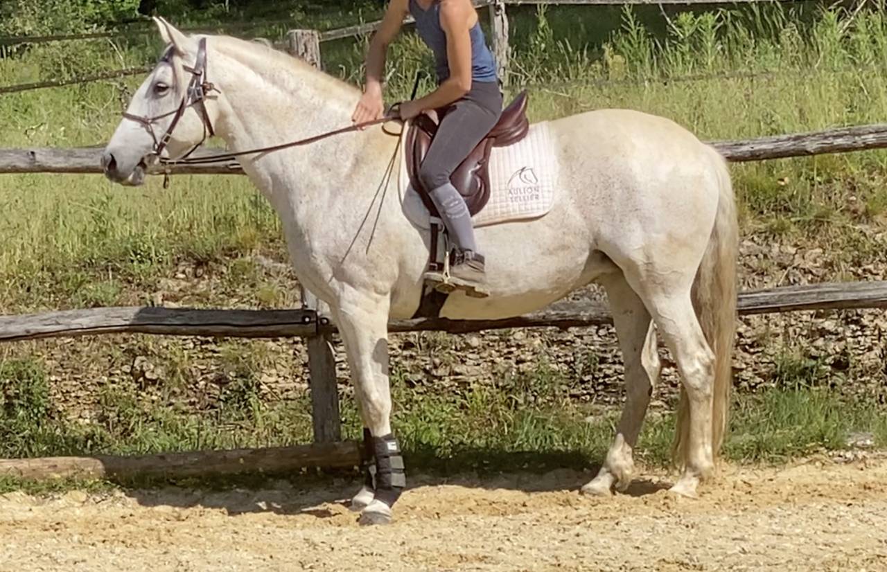 Alizée de la Goudelie