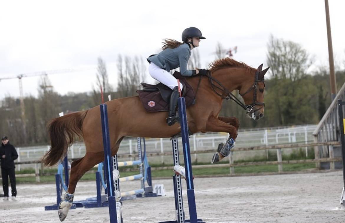 Dp cheval de sport 