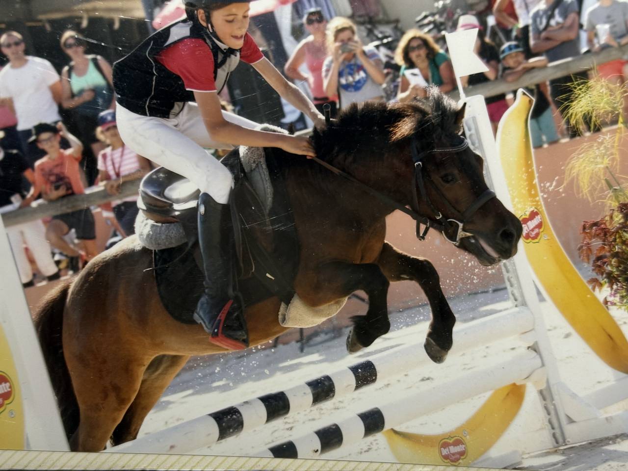 PONETTE SHETLAND