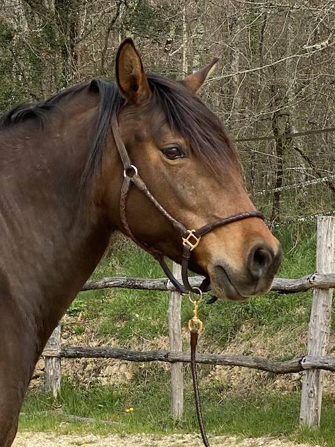 JULIE DE LA GOUDELIE