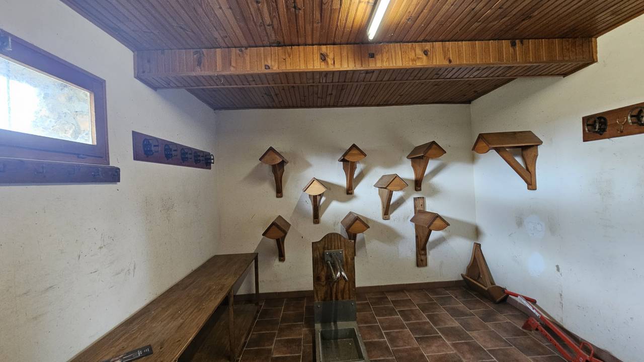 960010_1754316415_3887.jpg
