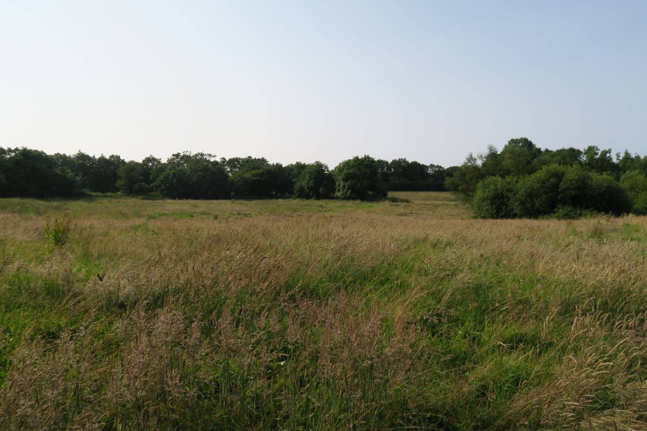 Pension chevaux et poneys - Vie et pâturage (Apremont - 85220)