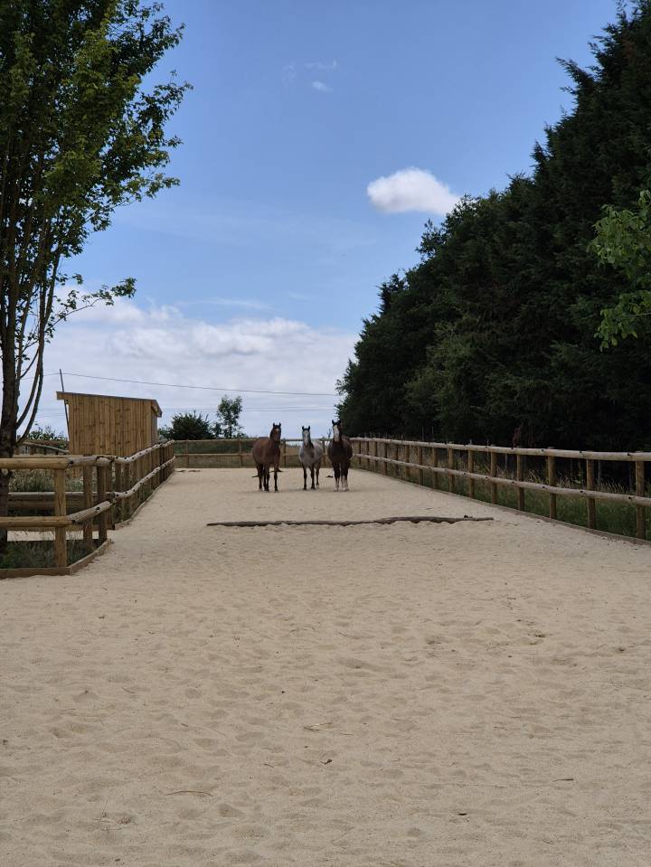 Pension en écurie active - Le Havre d'Océane - Villiers-Charlemagne