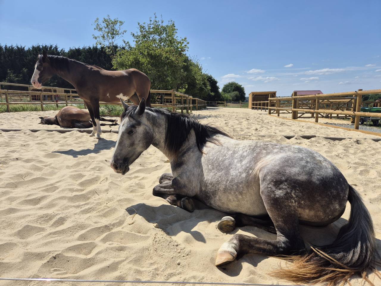Pension en écurie active - Le Havre d'Océane - Villiers-Charlemagne