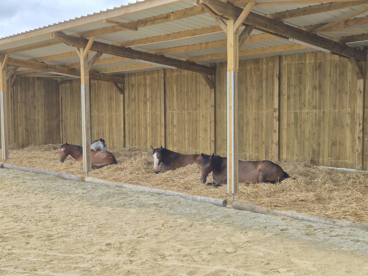 Pension en écurie active - Le Havre d'Océane - Villiers-Charlemagne