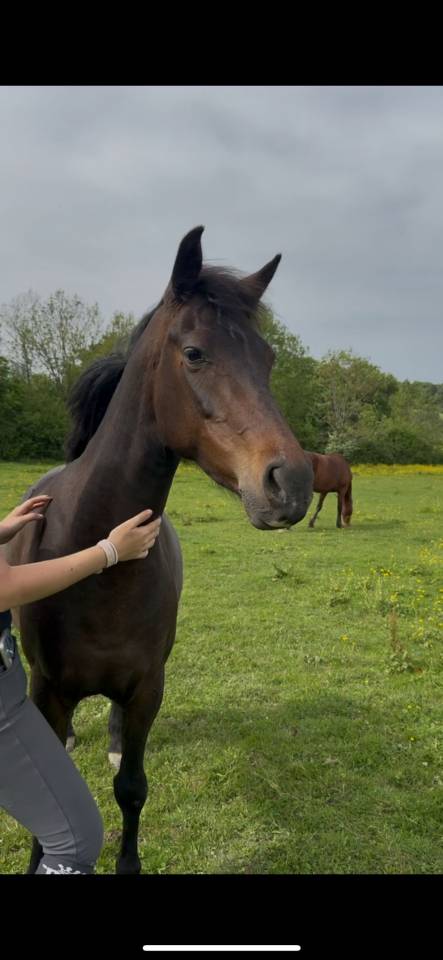 Ponette 