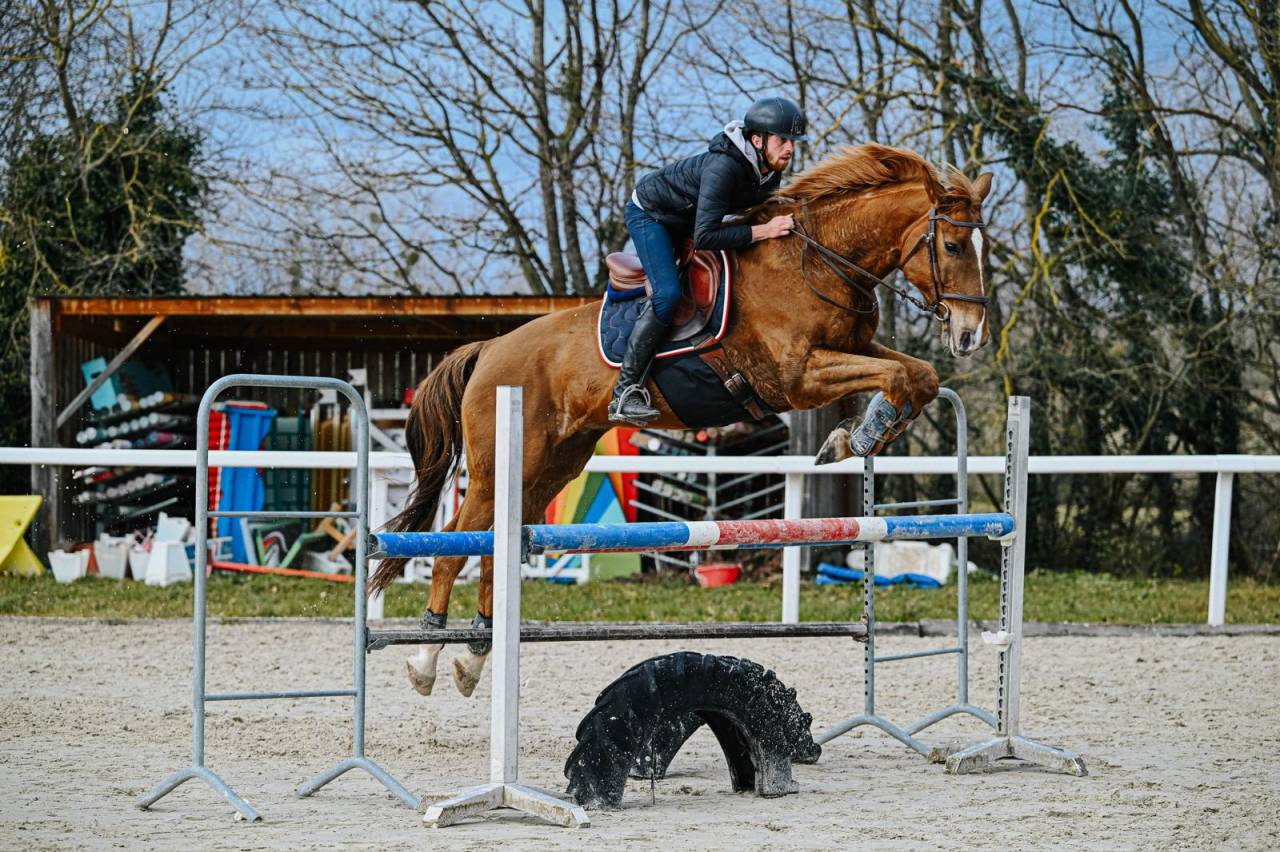 Cheval de CSO sortant en Amateur