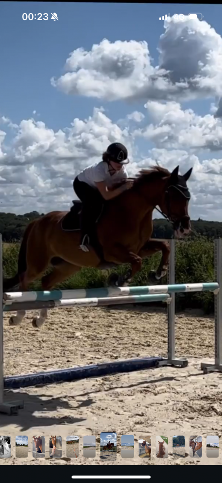 Top cheval à vendre 