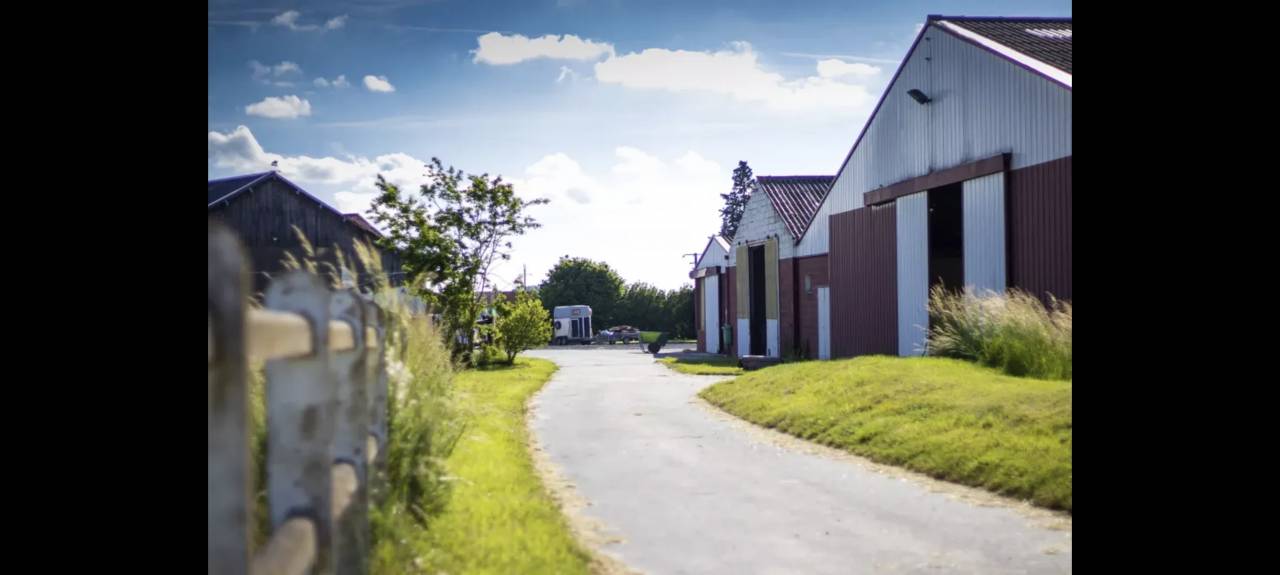 Écurie Picardie - PAWELEC STABLES