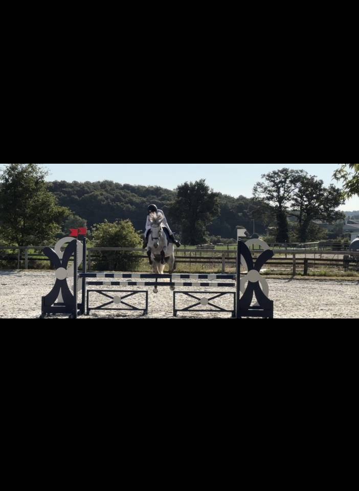 Ponette connemara PP