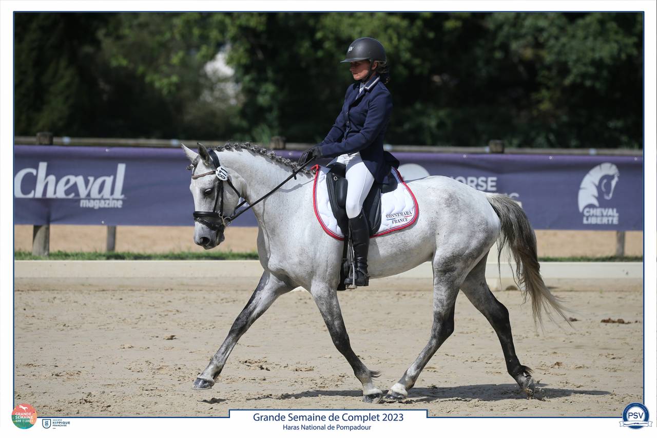 Ponette de sport