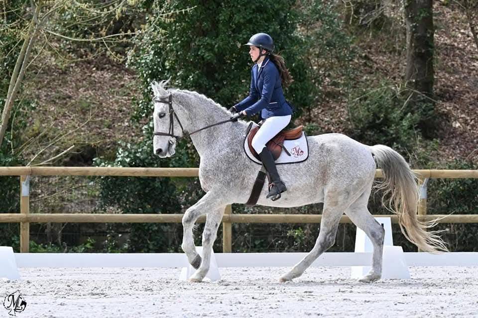 Top cheval pour pré-retraite