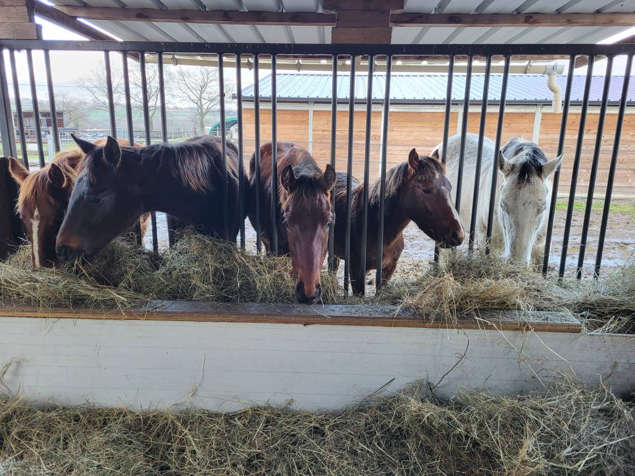 Pension pr&eacute; / pension retraite  allier