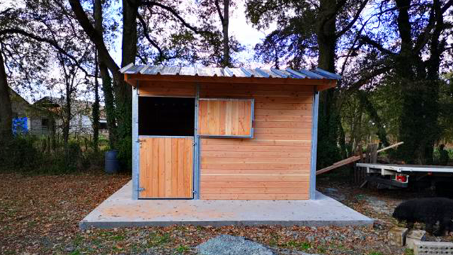 Box Club en bois Douglas