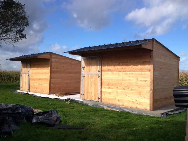 Box Club en bois Douglas