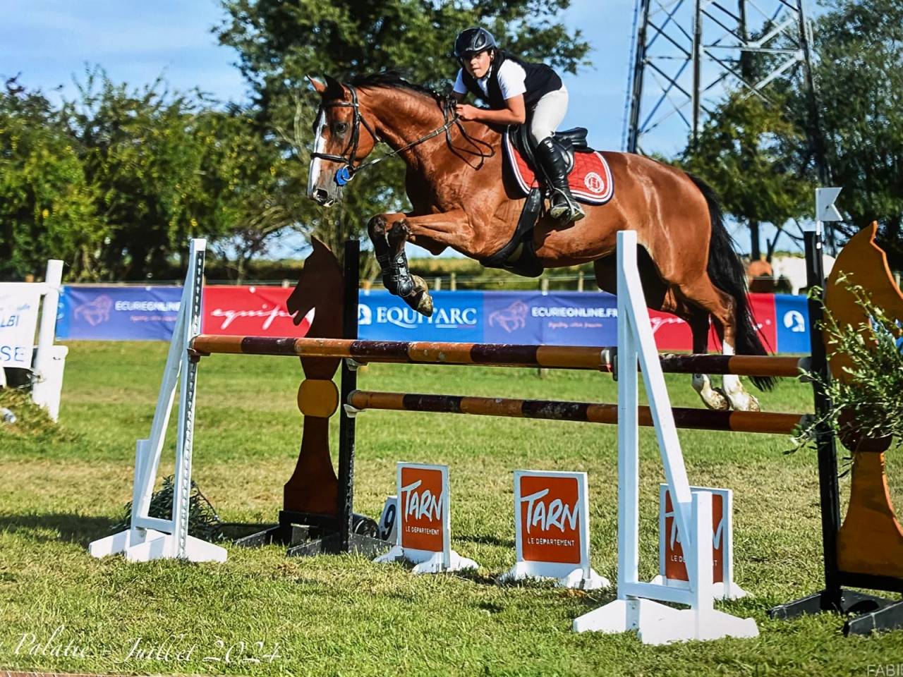 Hongre 9 ans gagnant 125-130