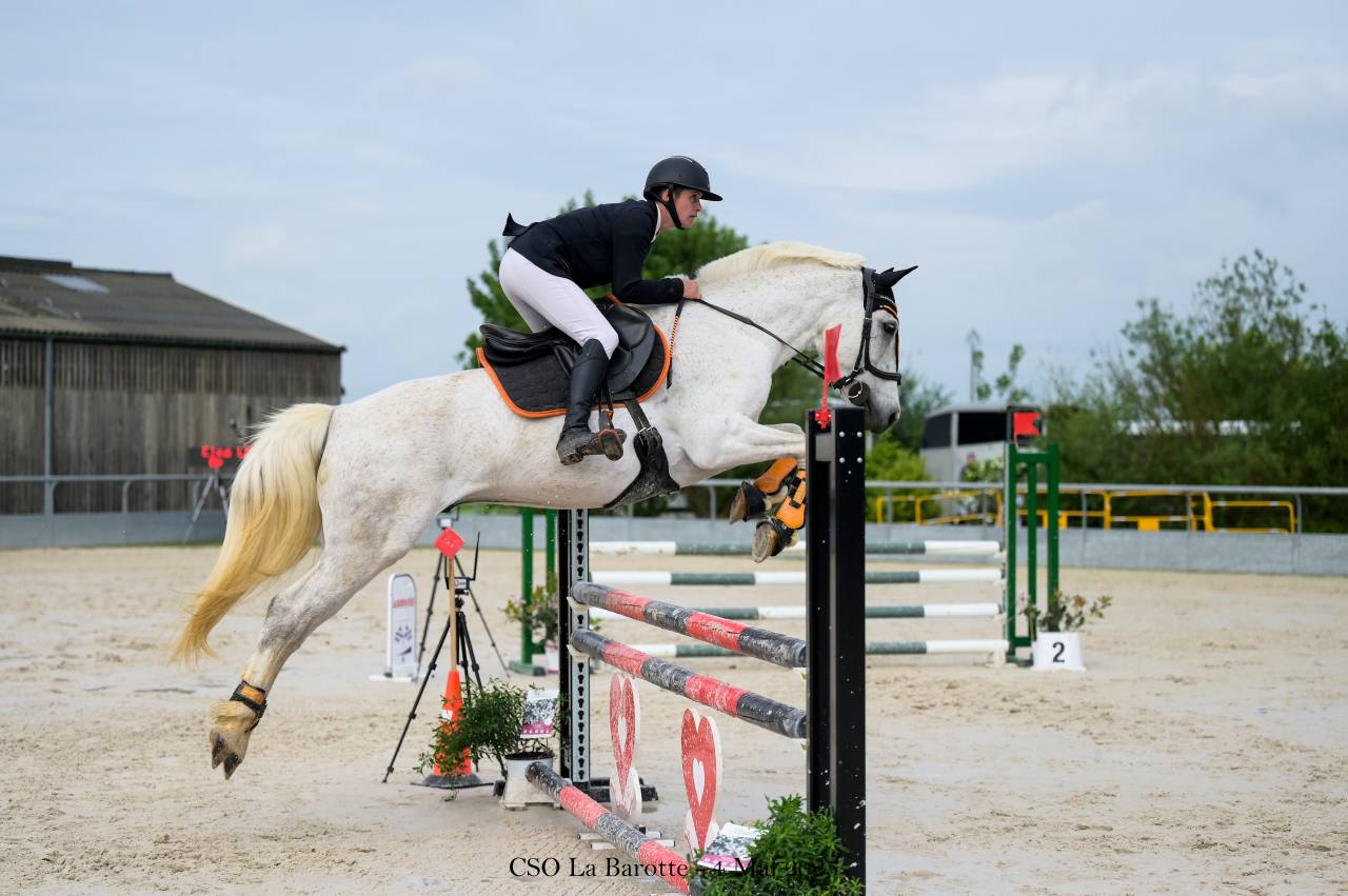 Pension pré, travail/débourrage