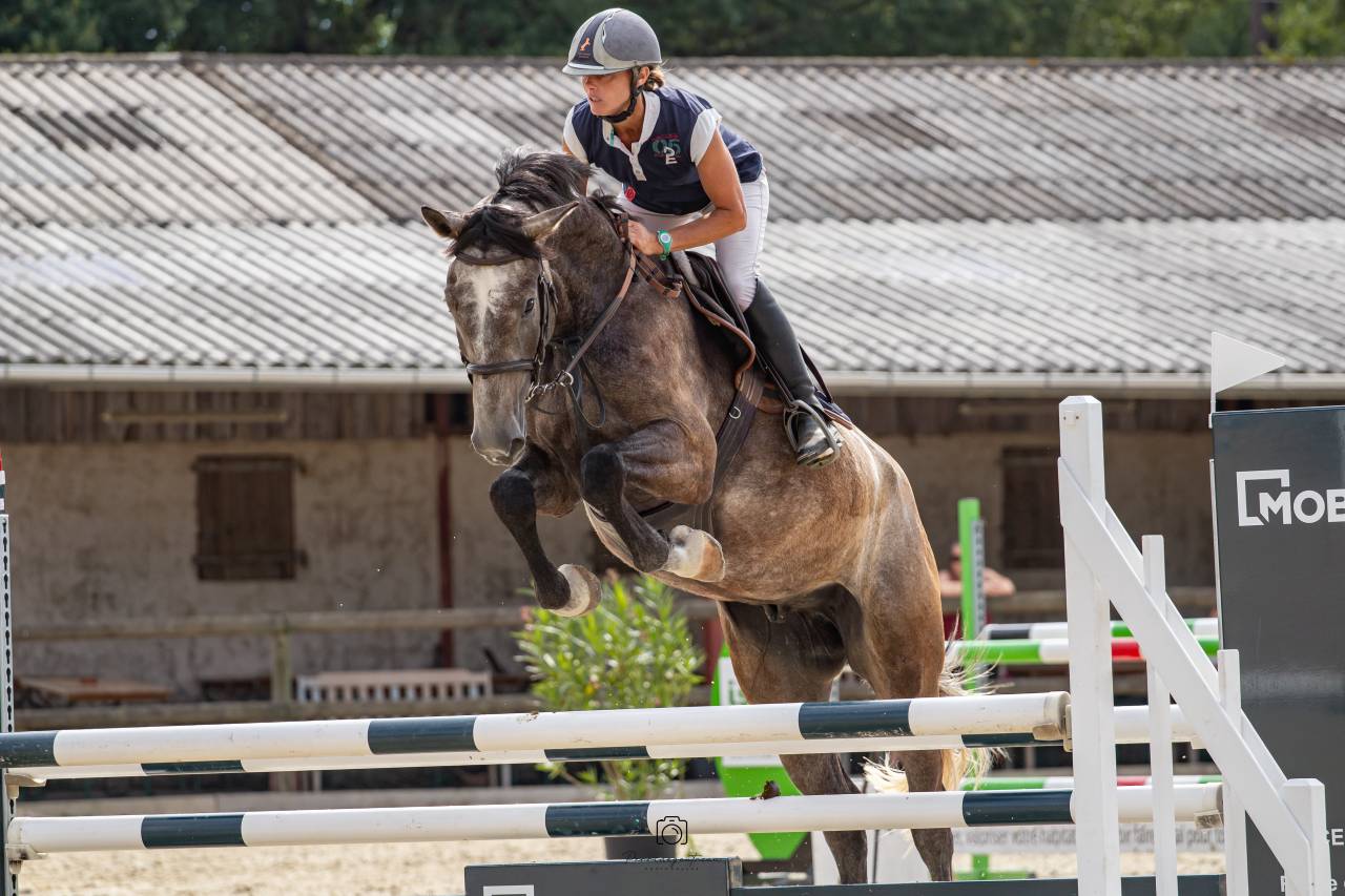 Cheval 5 ans CSO ou CCE