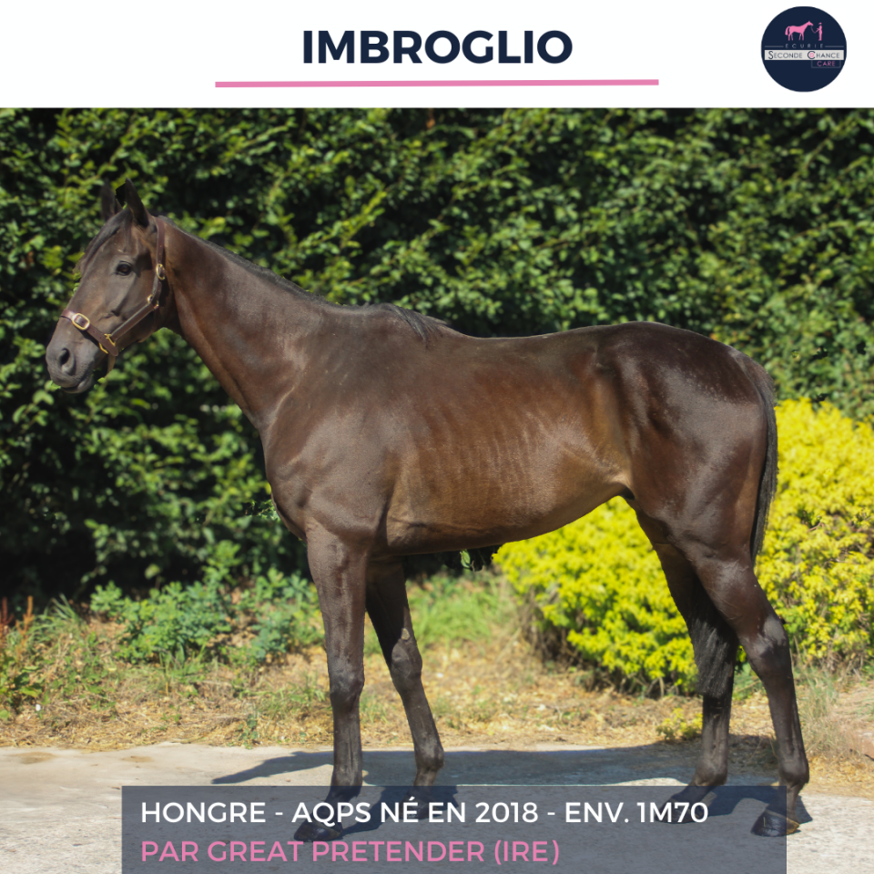 IMBROGLIO -AQPS - 7 ANS