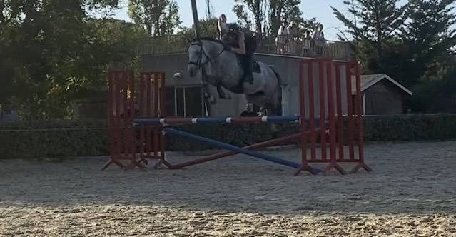 Cheval a vendre