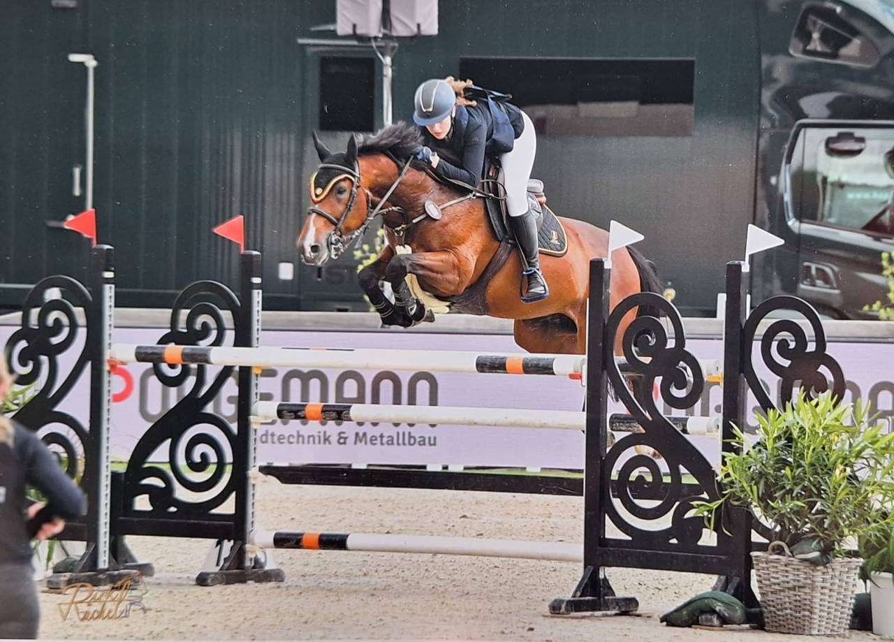 TOP Jument cso Children / amateur Elite