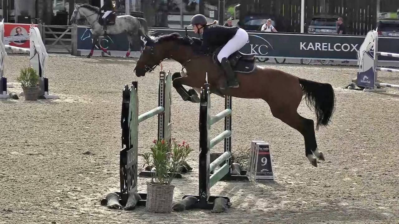 TOP Jument cso Children / amateur Elite