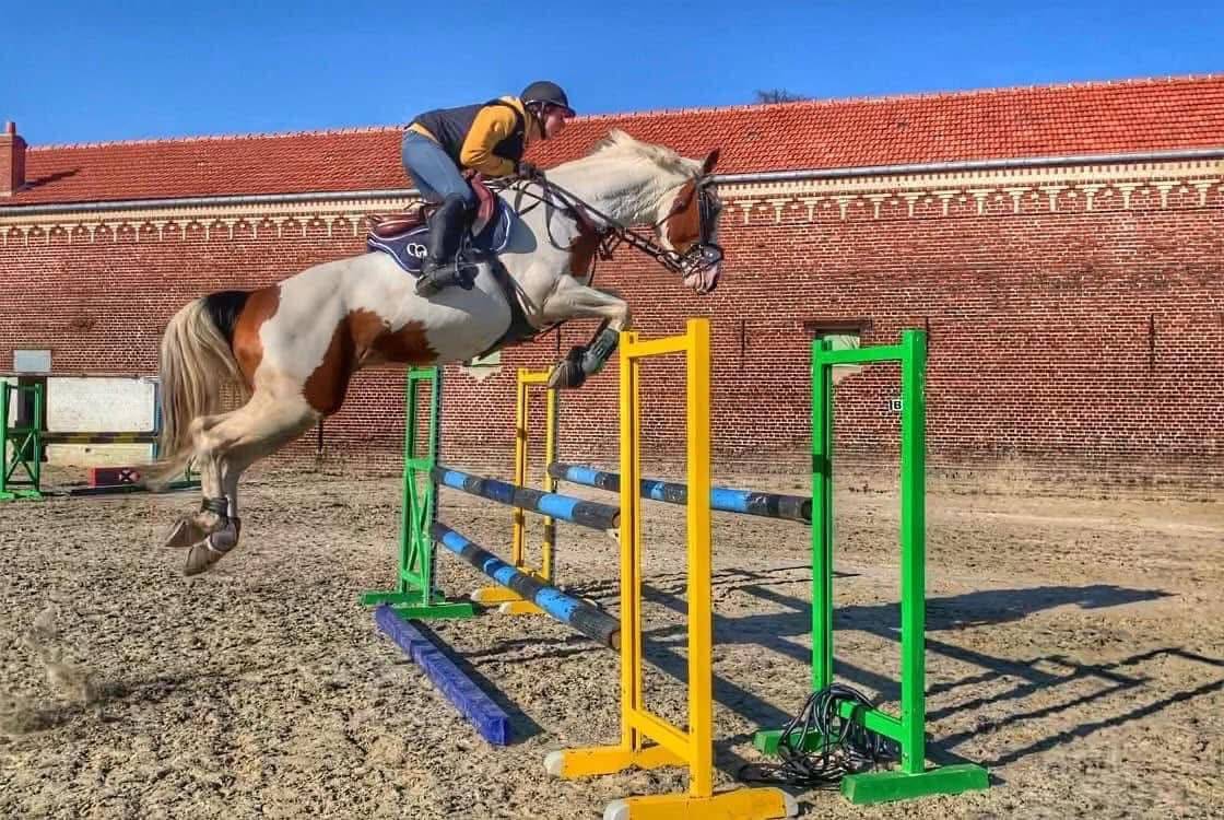 Paillettes de Guest Star du Valya SF 