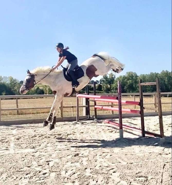 Paillettes de Guest Star du Valya SF 