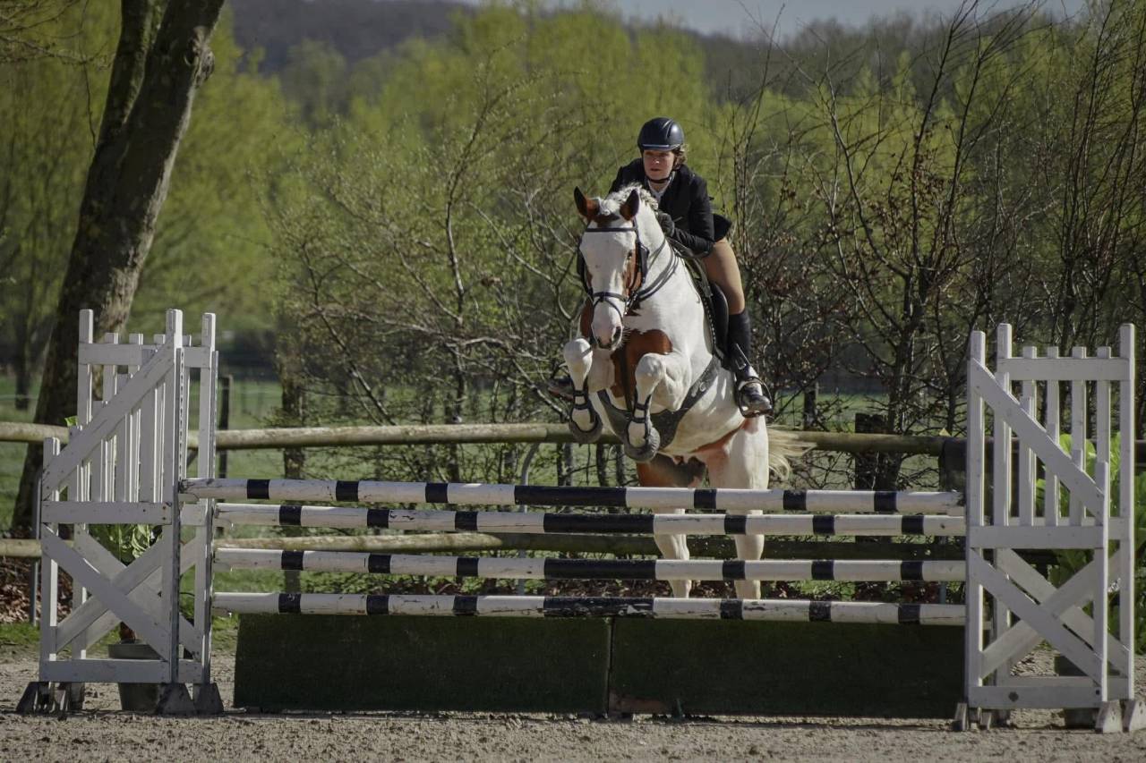 Paillettes de Guest Star du Valya SF 