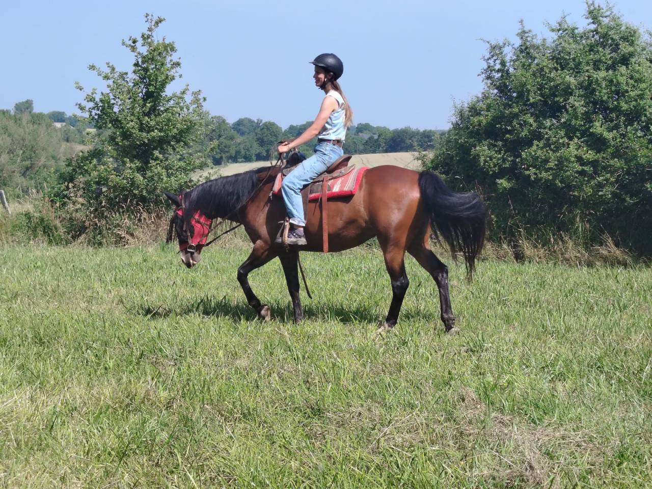 Jument de loisir, randonnée et bétail