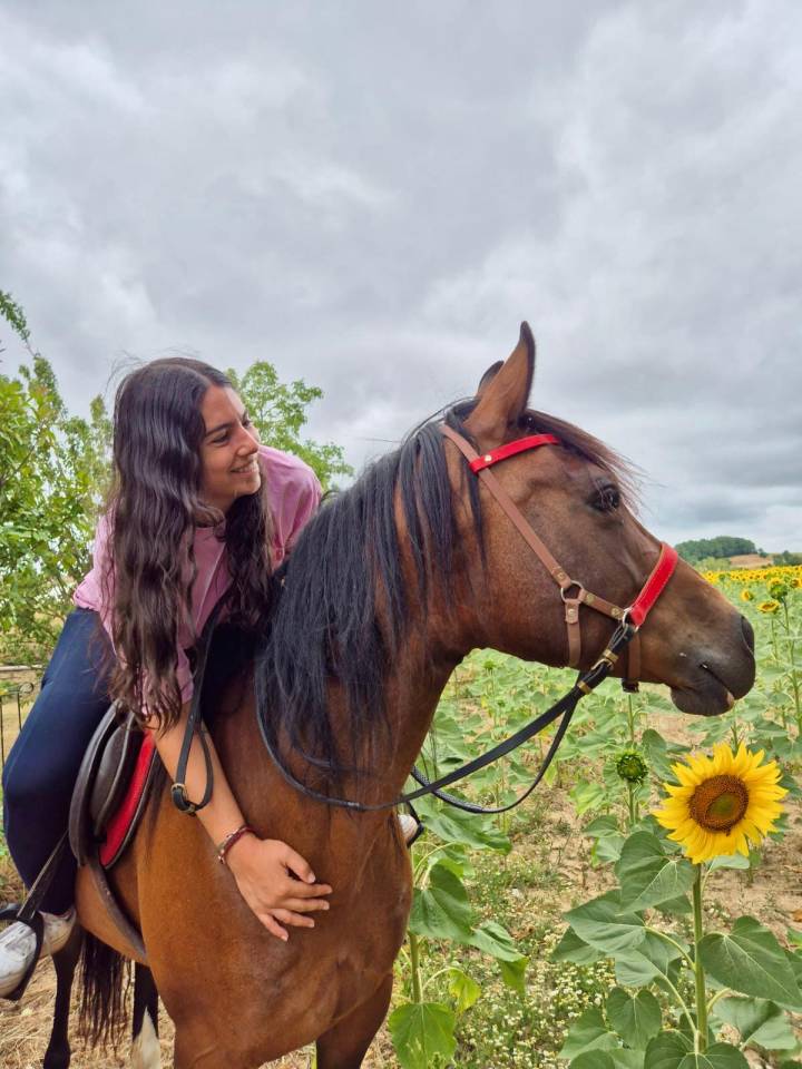 Jument de loisir, randonnée et bétail