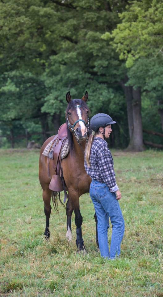 Jument de loisir, randonnée et bétail