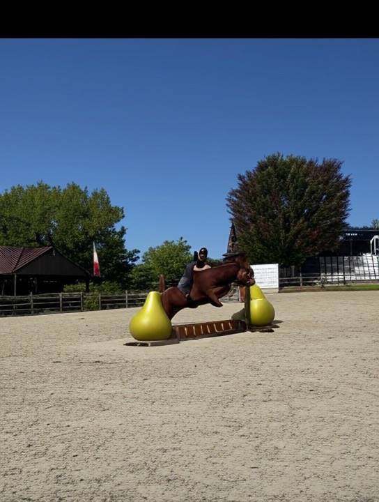 Poney haut niveau cso